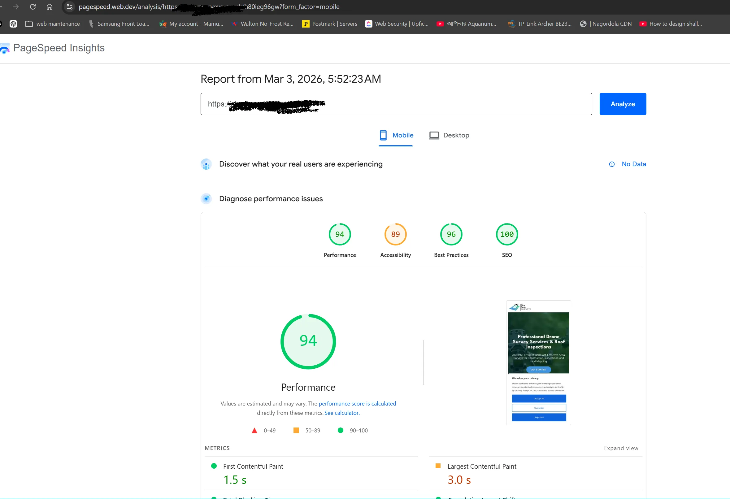 Google PageSpeed Core Web Vitals Summary Google PageSpeed Insights core web vitals diagnostic report detailing optimal speed index, zero blocking time, and zero layout shift.